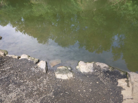 Launch area on the Tualatin River – rocks to stand on – compacted gravel – small area – no dock